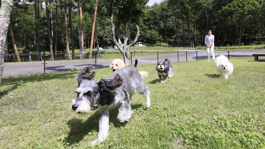 ゆとりろ蓼科ホテルwith DOGS