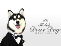 Hotel Dear Dog ɓ