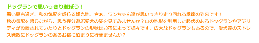 ペット宿 Com特集 愛犬もよろこぶ ドッグランでたっぷり遊べるお宿 特集